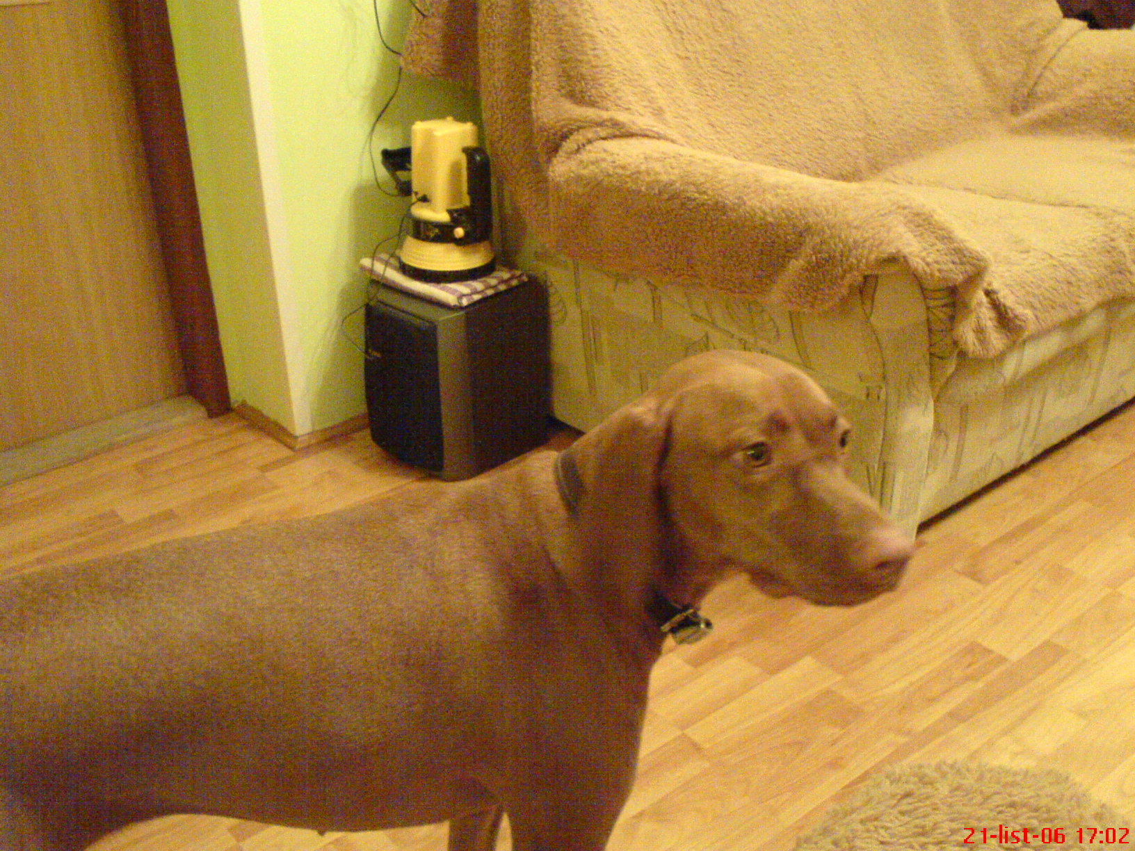 DSC00037.JPG