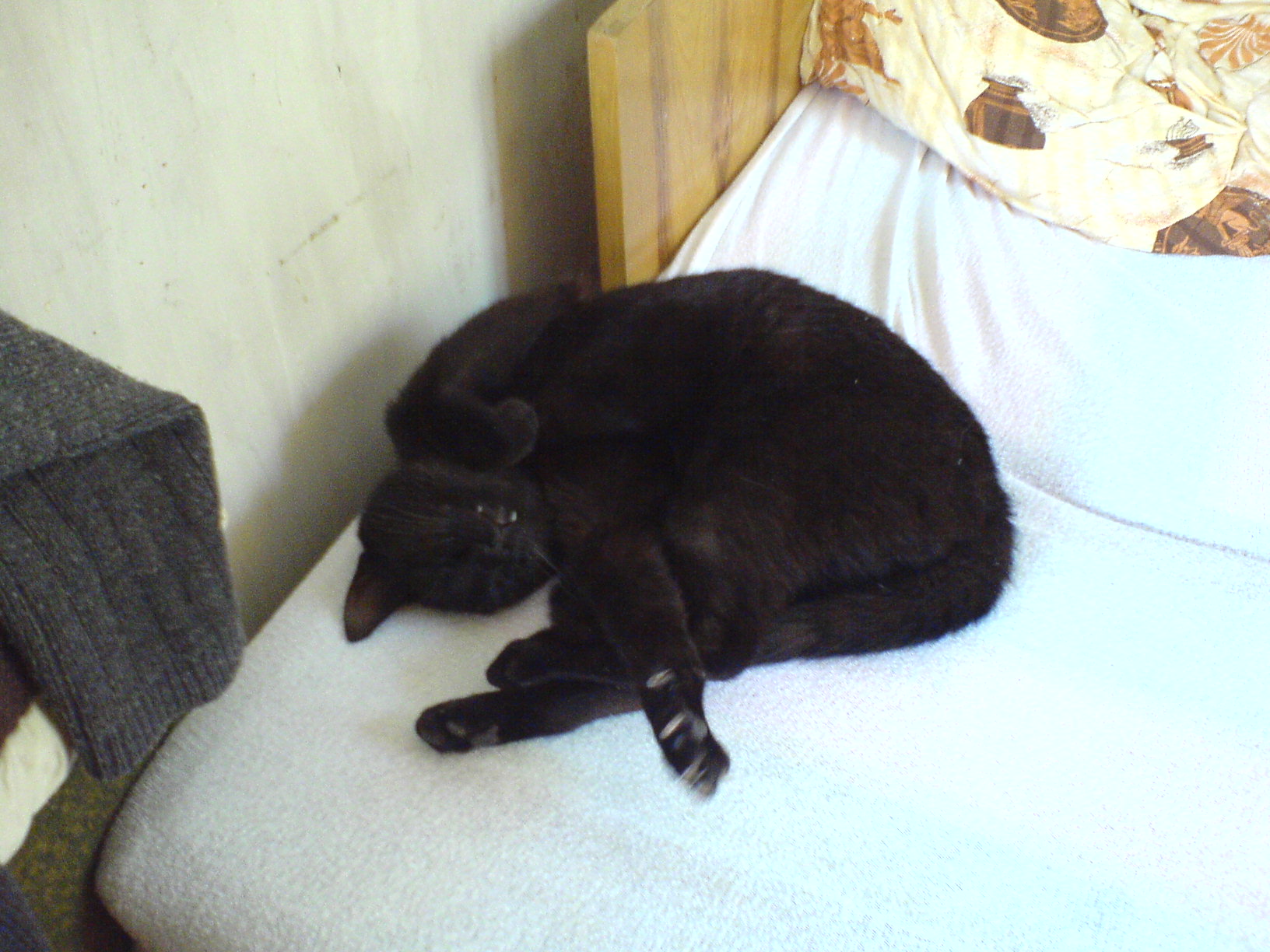 DSC00300.JPG